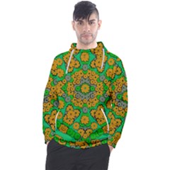 Stars Of Decorative Colorful And Peaceful  Flowers Men s Pullover Hoodie by pepitasart