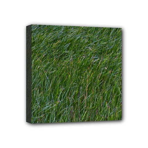 Simply Green Mini Canvas 4  X 4  (stretched) by DimitriosArt