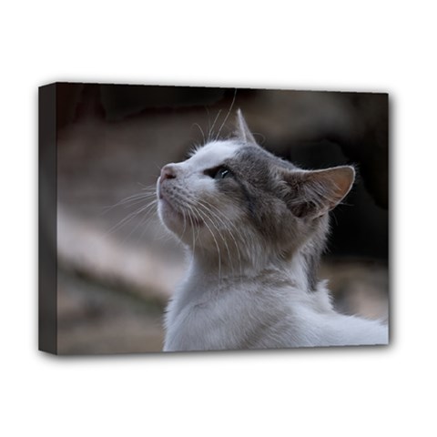 Kitty Deluxe Canvas 16  X 12  (stretched)  by DimitriosArt