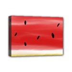 Painted watermelon pattern, fruit themed apparel Mini Canvas 7  x 5  (Stretched)