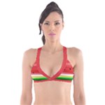 Painted watermelon pattern, fruit themed apparel Plunge Bikini Top