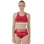 Painted watermelon pattern, fruit themed apparel Racer Back Bikini Set