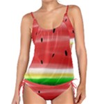 Painted watermelon pattern, fruit themed apparel Tankini Set