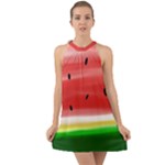 Painted watermelon pattern, fruit themed apparel Halter Tie Back Chiffon Dress
