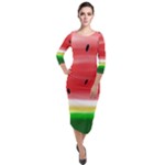 Painted watermelon pattern, fruit themed apparel Quarter Sleeve Midi Velour Bodycon Dress