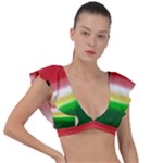 Painted watermelon pattern, fruit themed apparel Plunge Frill Sleeve Bikini Top