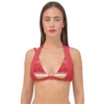 Painted watermelon pattern, fruit themed apparel Double Strap Halter Bikini Top