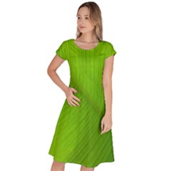 Banana Leaf Classic Short Sleeve Dress by artworkshop