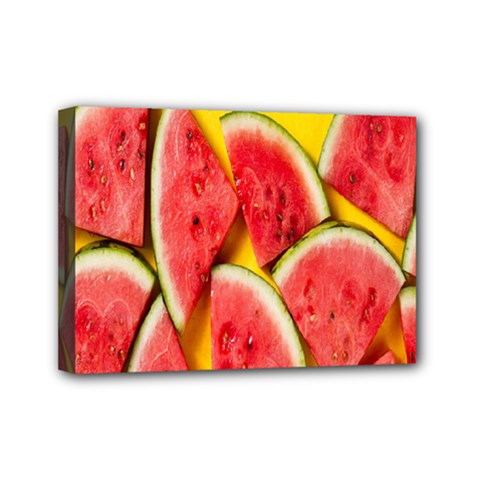 Watermelon Mini Canvas 7  X 5  (stretched) by artworkshop