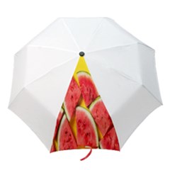 Watermelon Folding Umbrellas by artworkshop