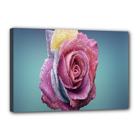 Rose Flower Love Romance Beautiful Canvas 18  X 12  (stretched) by artworkshop