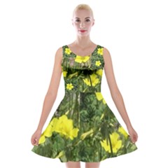 My Favorite Yellow Flowers That Follow The Sun Velvet Skater Dress by SusanFranzblau