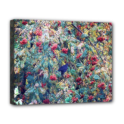 Rowan Deluxe Canvas 20  X 16  (stretched) by nate14shop