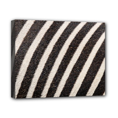  Zebra Pattern  Canvas 10  X 8  (stretched) by artworkshop