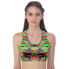 Lb Dino Sports Bra by Thespacecampers