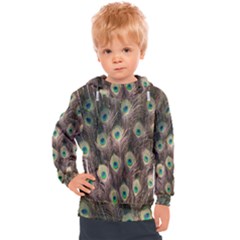 Bird-peacock Kids  Hooded Pullover by nateshop