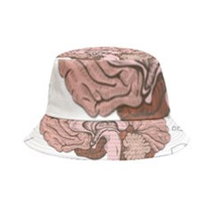Cerebrum Human Structure Cartoon Human Brain Inside Out Bucket Hat by Sapixe