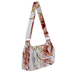 Animal Art Forms In Nature Jellyfish Multipack Bag by Sapixe