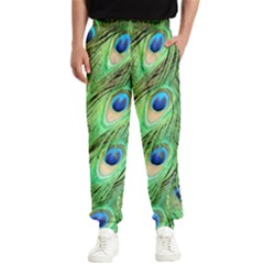 Peacock-green Men s Elastic Waist Pants by nateshop