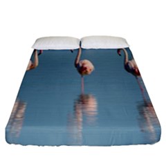 Flamingo Birds Plumage Sea Water Animal Exotic Fitted Sheet (king Size) by artworkshop