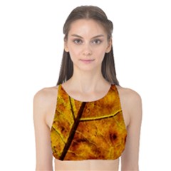 Leaf Leaf Veins Fall Tank Bikini Top by artworkshop