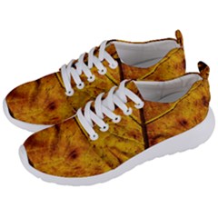 Leaf Leaf Veins Fall Men s Lightweight Sports Shoes by artworkshop