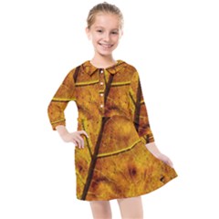 Leaf Leaf Veins Fall Kids  Quarter Sleeve Shirt Dress by artworkshop