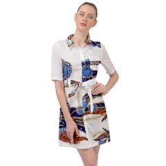 Im Fourth Dimension Colour 58 Belted Shirt Dress