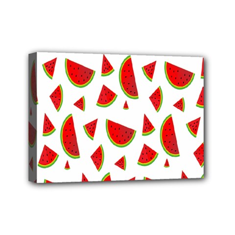 Fruit Mini Canvas 7  X 5  (stretched) by nateshop