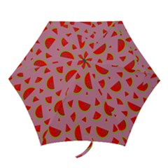 Fruit 1 Mini Folding Umbrellas by nateshop
