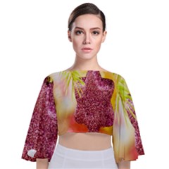 Christmas Decoration Star Tie Back Butterfly Sleeve Chiffon Top by artworkshop