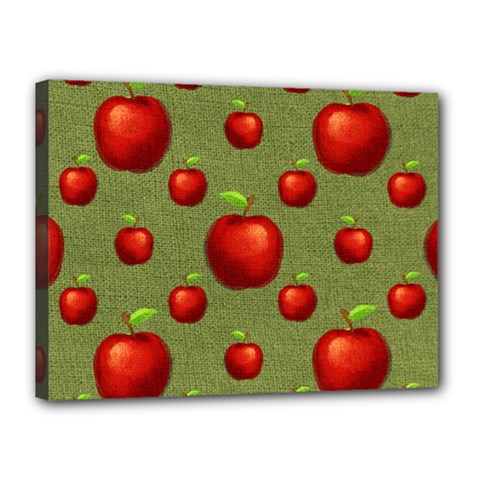 Apples Canvas 16  X 12  (stretched) by nateshop