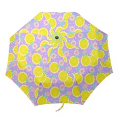 Purple Lemons  Folding Umbrellas by ConteMonfrey