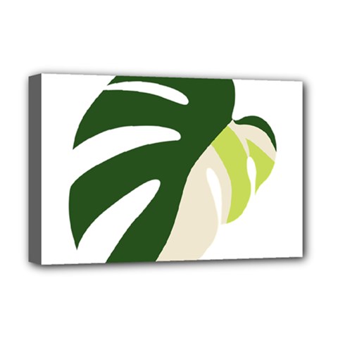 Monstera Deluxe Canvas 18  X 12  (stretched) by ConteMonfrey