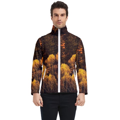 Autumn Fall Foliage Forest Trees Woods Nature Men s Bomber Jacket by danenraven
