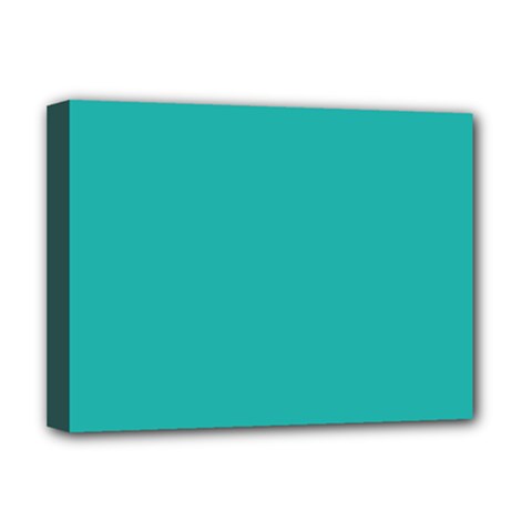 Color Light Sea Green Deluxe Canvas 16  X 12  (stretched)  by Kultjers