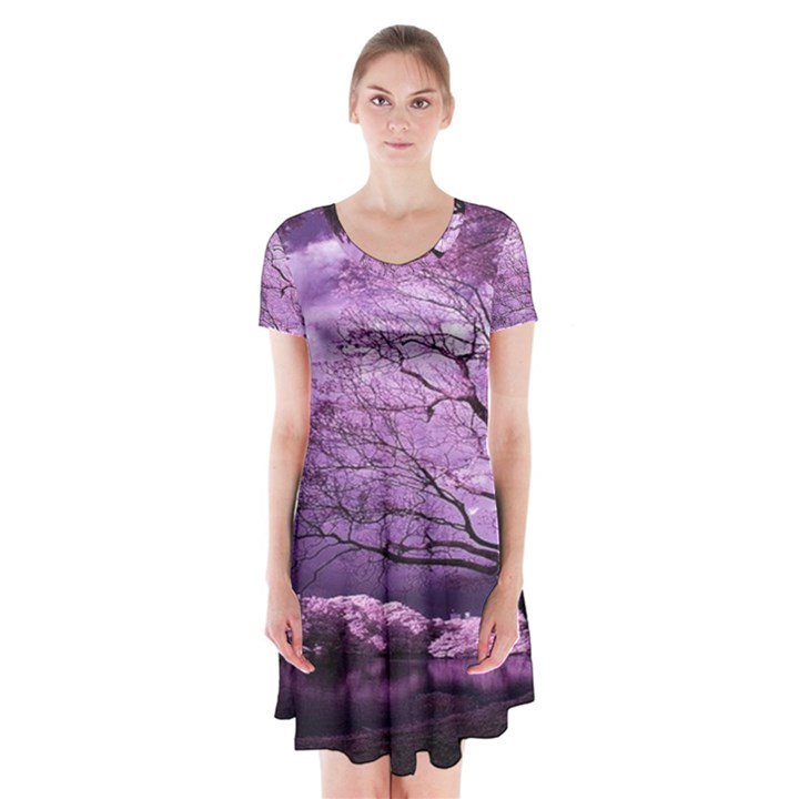 Violet Nature Short Sleeve V-neck Flare Dress