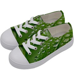 Green Water Leaf Kids  Low Top Canvas Sneakers by artworkshop