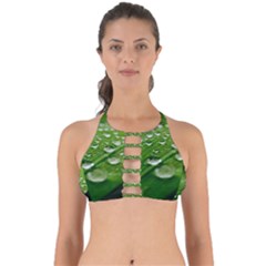 Green Water Leaf Perfectly Cut Out Bikini Top