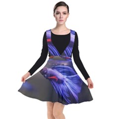 Betta Fish Photo And Wallpaper Cute Betta Fish Pictures Plunge Pinafore Dress