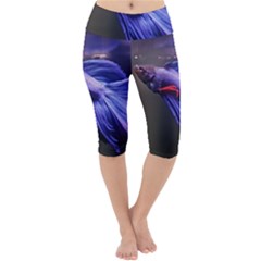 Betta Fish Photo And Wallpaper Cute Betta Fish Pictures Lightweight Velour Cropped Yoga Leggings by StoreofSuccess