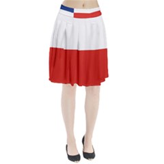 Banskobystricky Flag Pleated Skirt by tony4urban