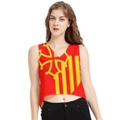 Languedoc Roussillon Flag V-neck Cropped Tank Top by tony4urban