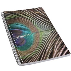 Peacock 5 5  X 8 5  Notebook by StarvingArtisan