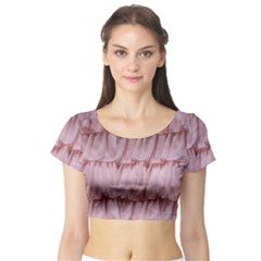 Pink Chiffon Cotton Candy Frills Short Sleeve Crop Top by PollyParadiseBoutique7
