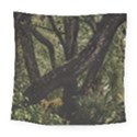 Botanical Motif Trees Detail Photography Square Tapestry (Large) View1