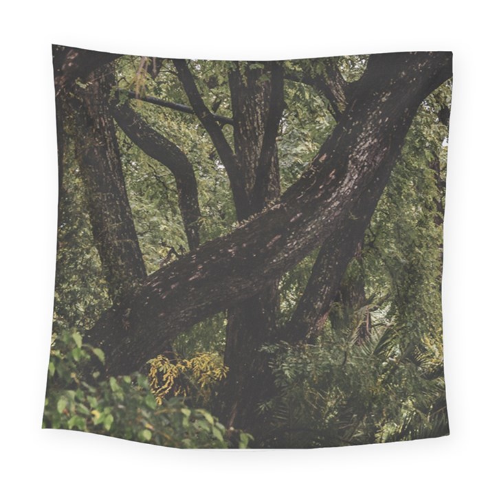 Botanical Motif Trees Detail Photography Square Tapestry (Large)