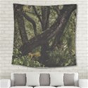 Botanical Motif Trees Detail Photography Square Tapestry (Large) View2