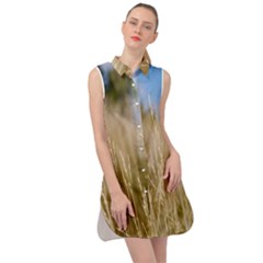 Close-up Ladang Whey Sleeveless Shirt Dress by artworkshop