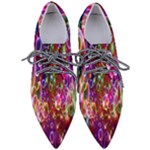 Rainbow spectrum bubbles Pointed Oxford Shoes
